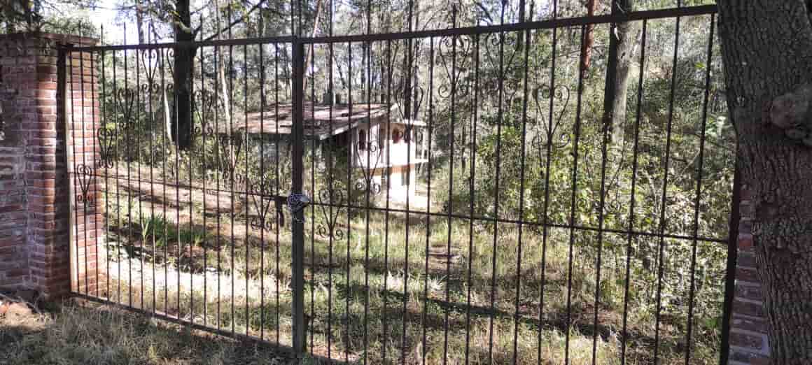 Fotografía real de un Land que puedes rentar con SpotMe) de forma rápida y segura, ubicado en Zacatlán, Pue.. - Foto 4