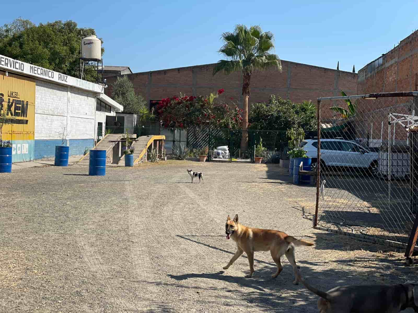 Fotografía real de un Parking que puedes rentar con SpotMe) de forma rápida y segura, ubicado en Irapuato, Gto.. - Foto 5