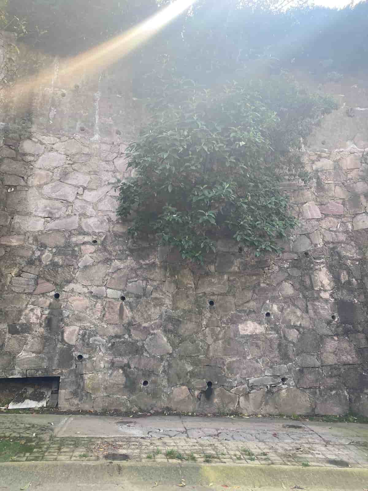 Fotografía real de un Parking que puedes rentar con SpotMe) de forma rápida y segura, ubicado en Naucalpan de Juárez, Méx.. - Foto 3