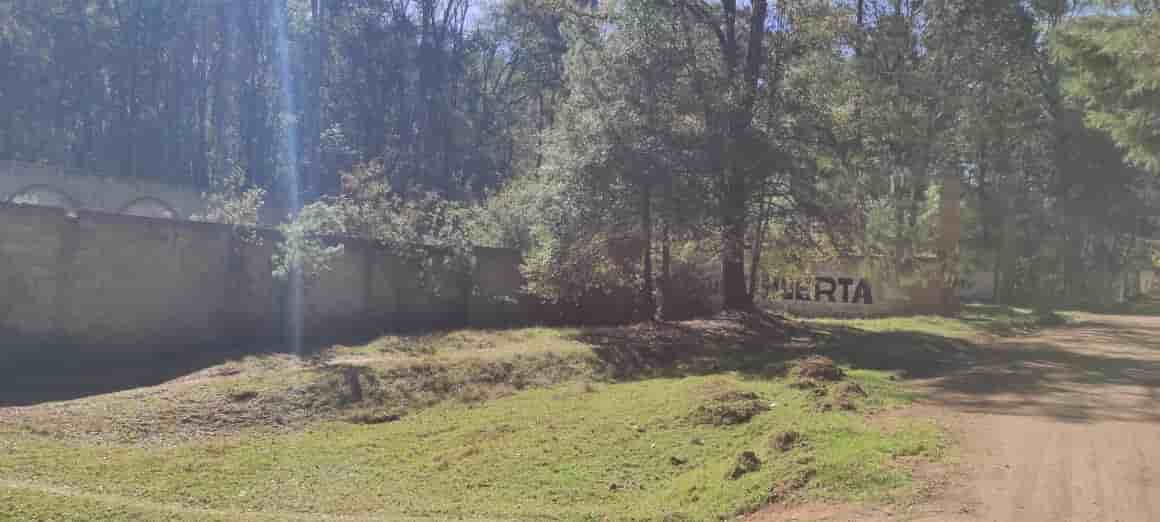 Fotografía real de un Land que puedes rentar con SpotMe) de forma rápida y segura, ubicado en Zacatlán, Pue.. - Foto 3