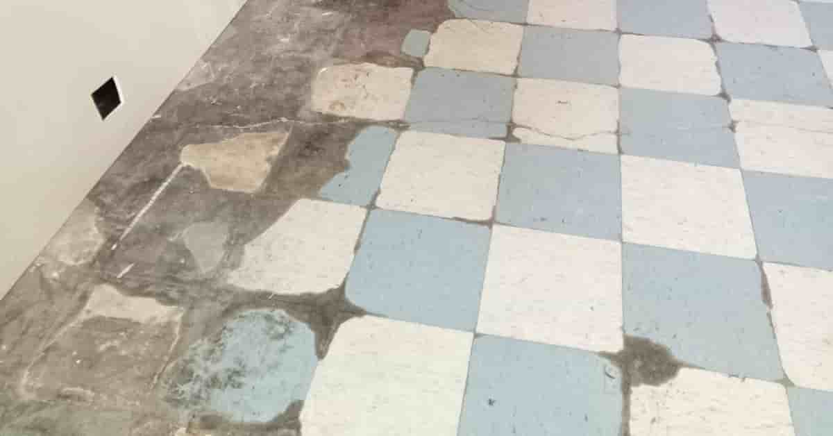 Fotografía real de un Self Storage Unit que puedes rentar con SpotMe) de forma rápida y segura, ubicado en Buenavista, MEXICO. - Foto 3