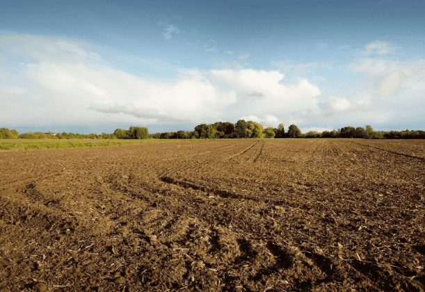 Terreno
