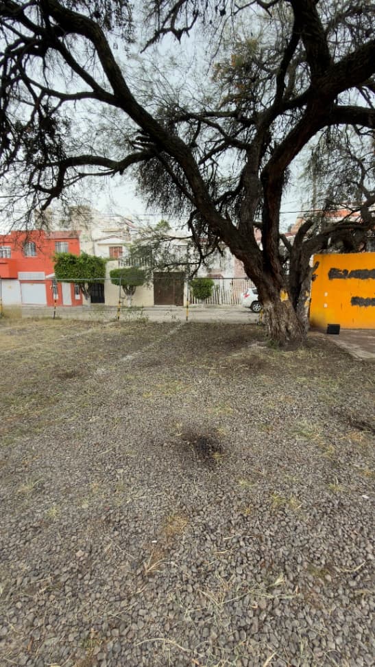 Estacionamiento 10 m² f96e1afb-8ee5-4621-b6af-2c7017f09d51