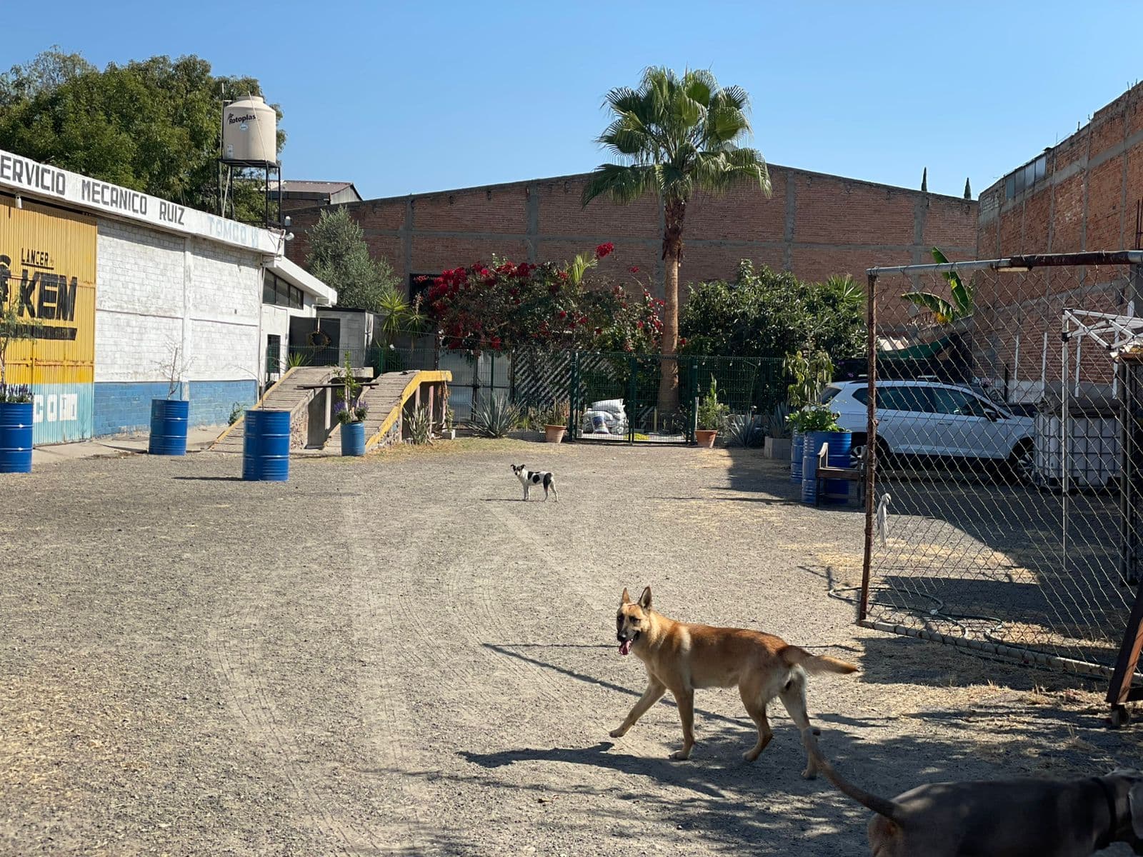 Estacionamiento 13 m² 3b099647-c1f2-4b50-853e-efc3ae6ef1f8