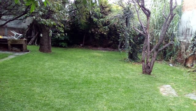 Estacionamiento 50 m² dd7c01e2-6a23-4d2d-b21a-88203105c57b