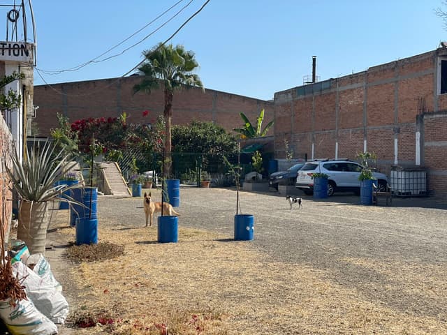 Bodega Comercial 240 m² 3b099647-c1f2-4b50-853e-efc3ae6ef1f8