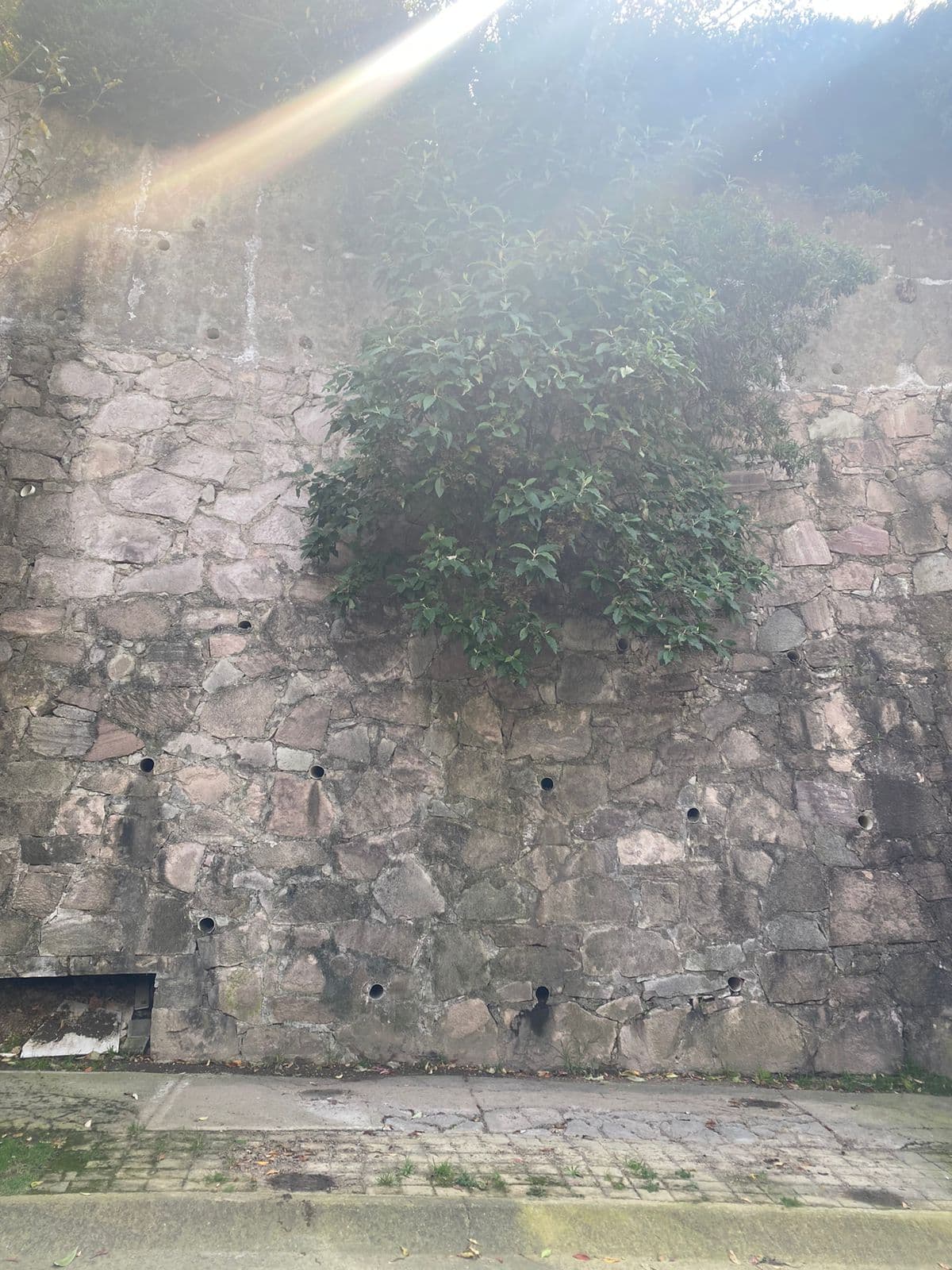 Fotografía real de un Estacionamiento que puedes rentar con SpotMe) de forma rápida y segura, ubicado en Naucalpan de Juárez, Méx.. - Foto 3