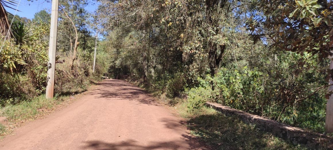 Fotografía real de un Terreno que puedes rentar con SpotMe) de forma rápida y segura, ubicado en Zacatlán, Pue.. - Foto 2