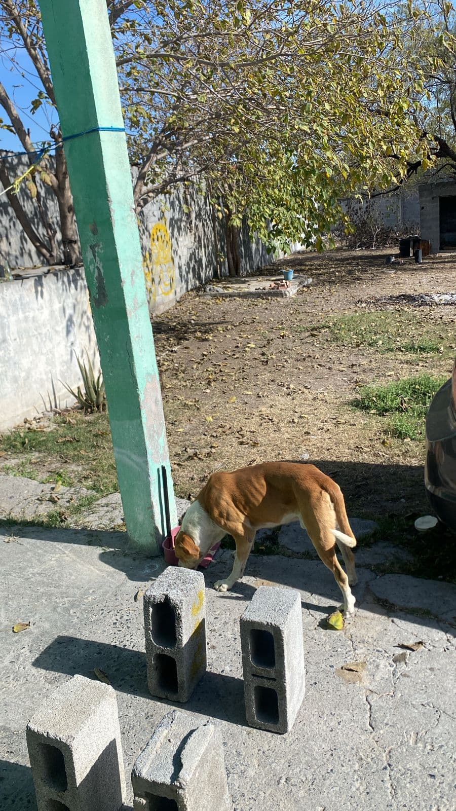 Fotografía real de un Land que puedes rentar con SpotMe) de forma rápida y segura, ubicado en Salinas Victoria, N.L.. - Foto 4