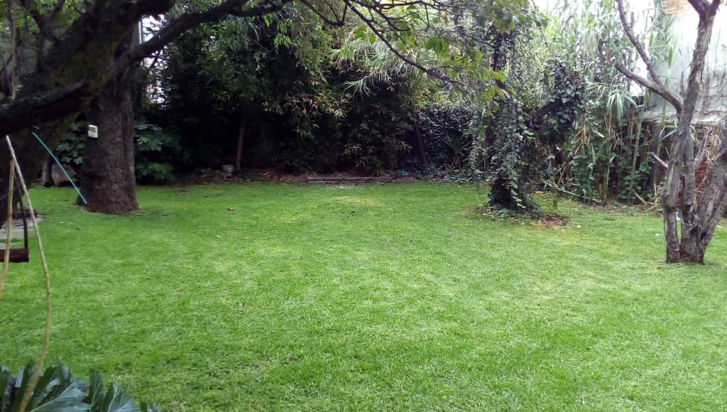 Fotografía real de un Estacionamiento que puedes rentar con SpotMe) de forma rápida y segura, ubicado en San Jerónimo Lídice, CDMX. - Foto 7